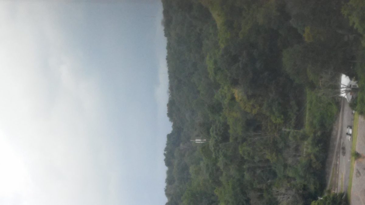 2007 Ford escape xlt 4wheel drive Owner's Manual Owner's Manual