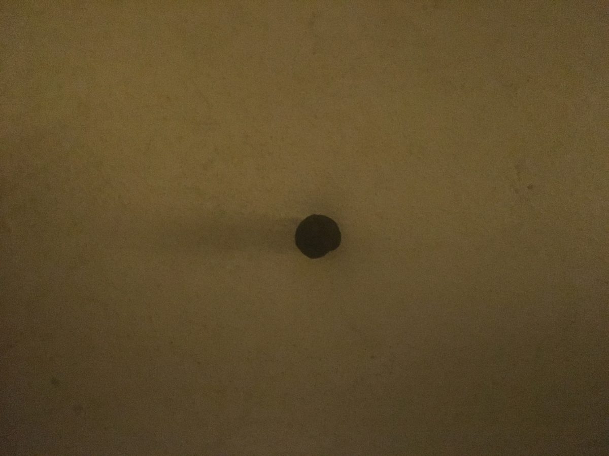 2007 Ford Escape XLT Owner's Manual Owner's Manual