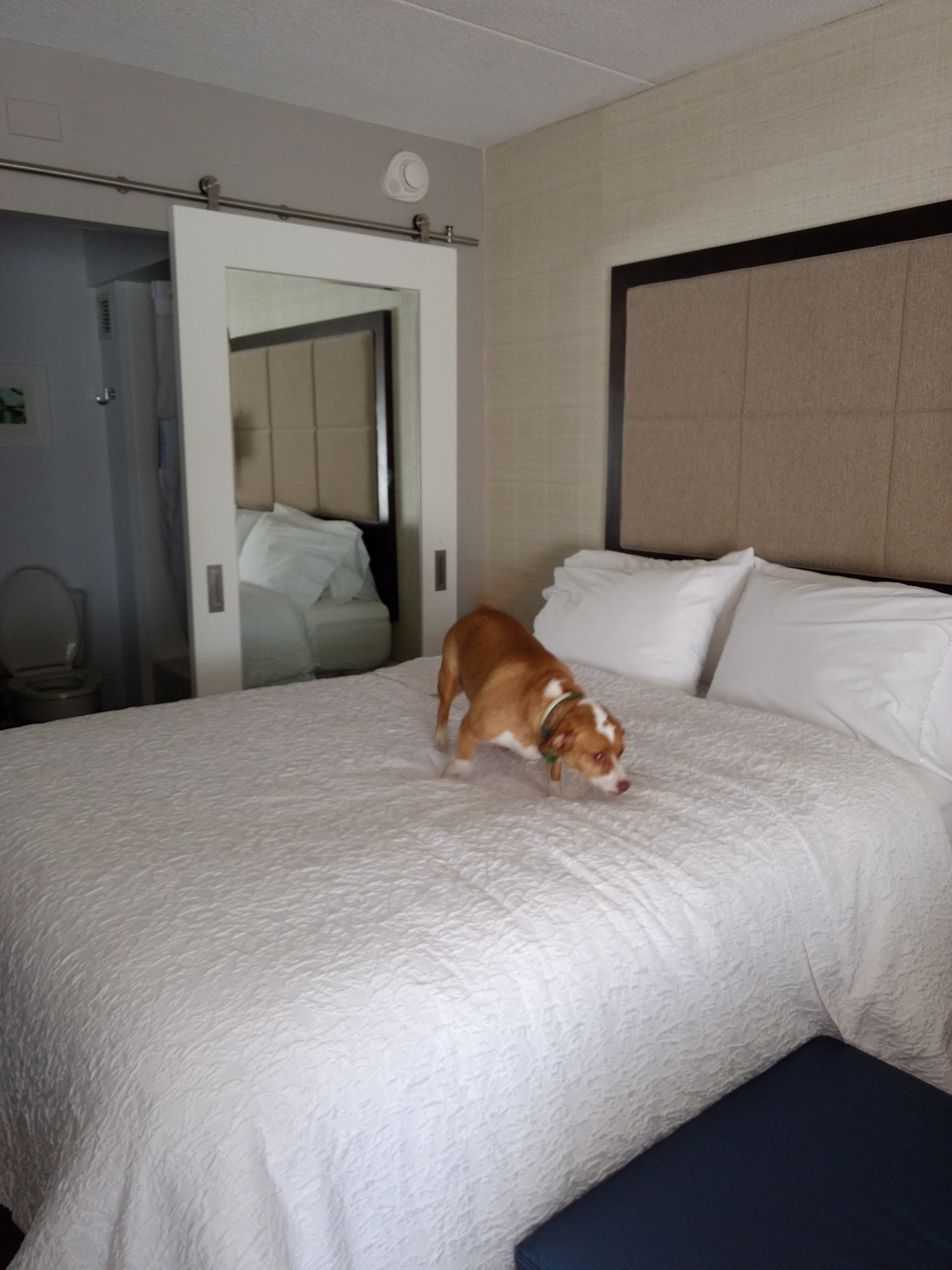 2009 Ford Escape Owner's Manual Owners Manual | Just Give Me The Damn